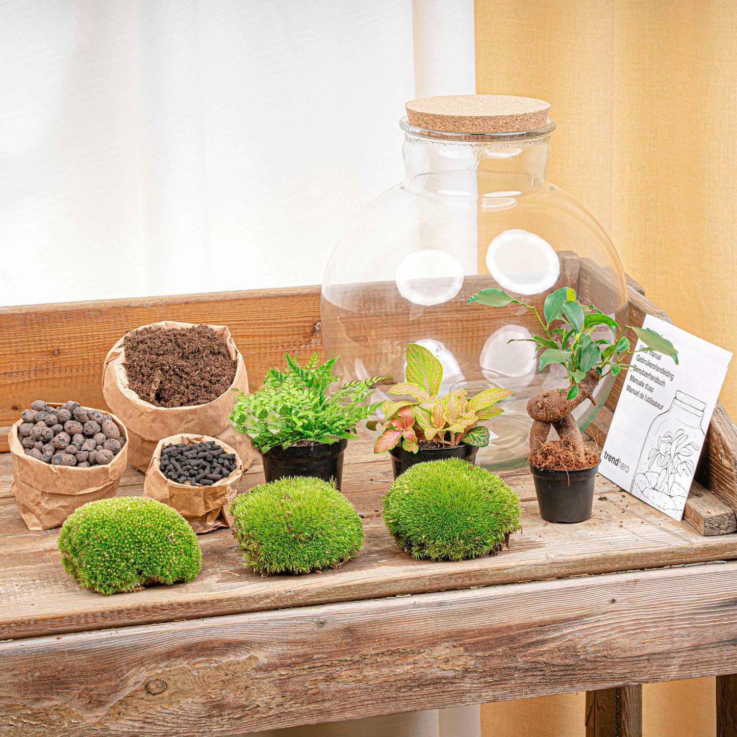 DIY terrarium - Bolder Bob Bonsai - ↕ 30 cm - Rake + Shovel