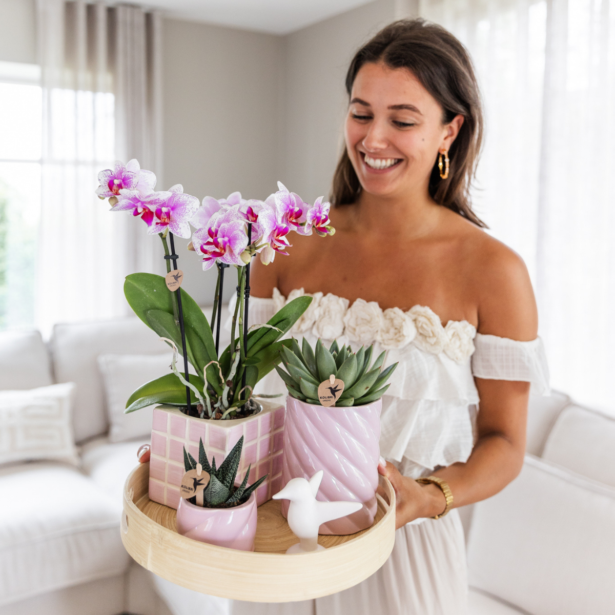 Kolibri Orchids | Roze Phalaenopsis orchidee - Mineral Rotterdam - potmaat Ø9cm | bloeiende kamerplant - vers van de kweker