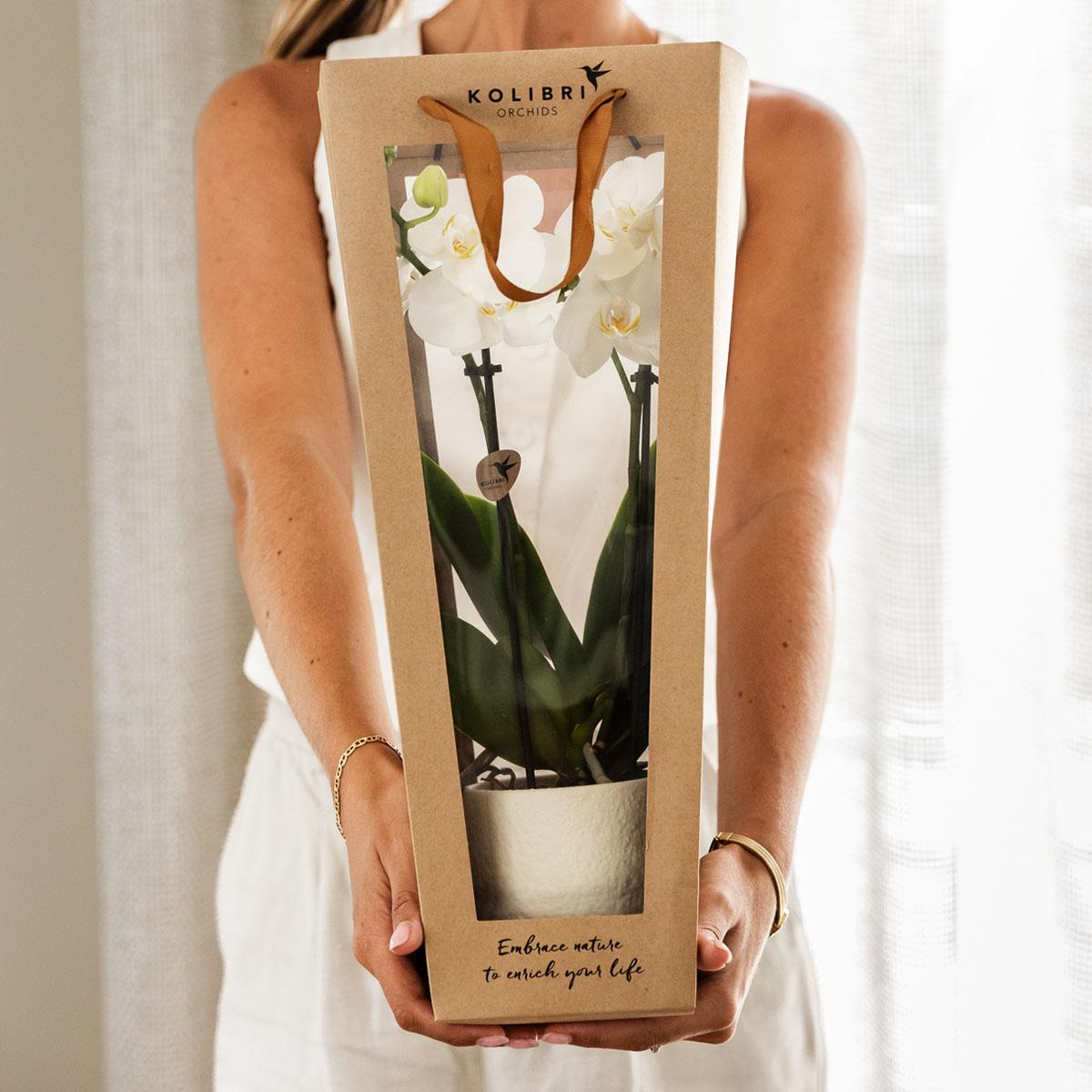 Kolibri Company I Cadeau tasje voor Orchidee met Sierpot 9cm