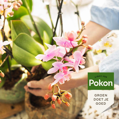 Pokon bio orchidee voeding 250 ml