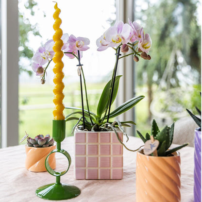 Kolibri Orchids | roze phalaenopsis orchidee Portugal + Mosa sierpot roze - potmaat Ø9cm | bloeiende kamerplant - vers van de kweker