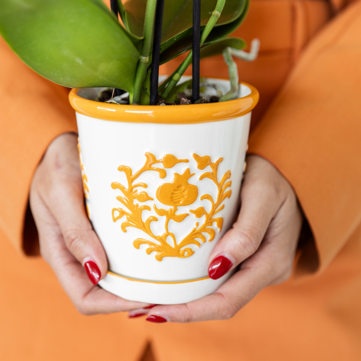 Kolibri Company | Gift set | Plantenset met 2 oranje Phalaenopsis Orchideeën en Succulent incl. keramieken sierpotten