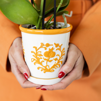 Kolibri Company | Gift set | Plantenset met 2 oranje Phalaenopsis Orchideeën en Succulent incl. keramieken sierpotten