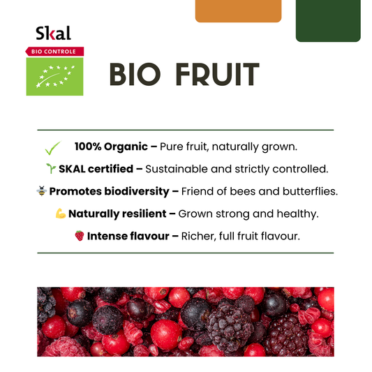"Zomervruchten" BIO Fruitplanten mix set van 4 verschillende soorten