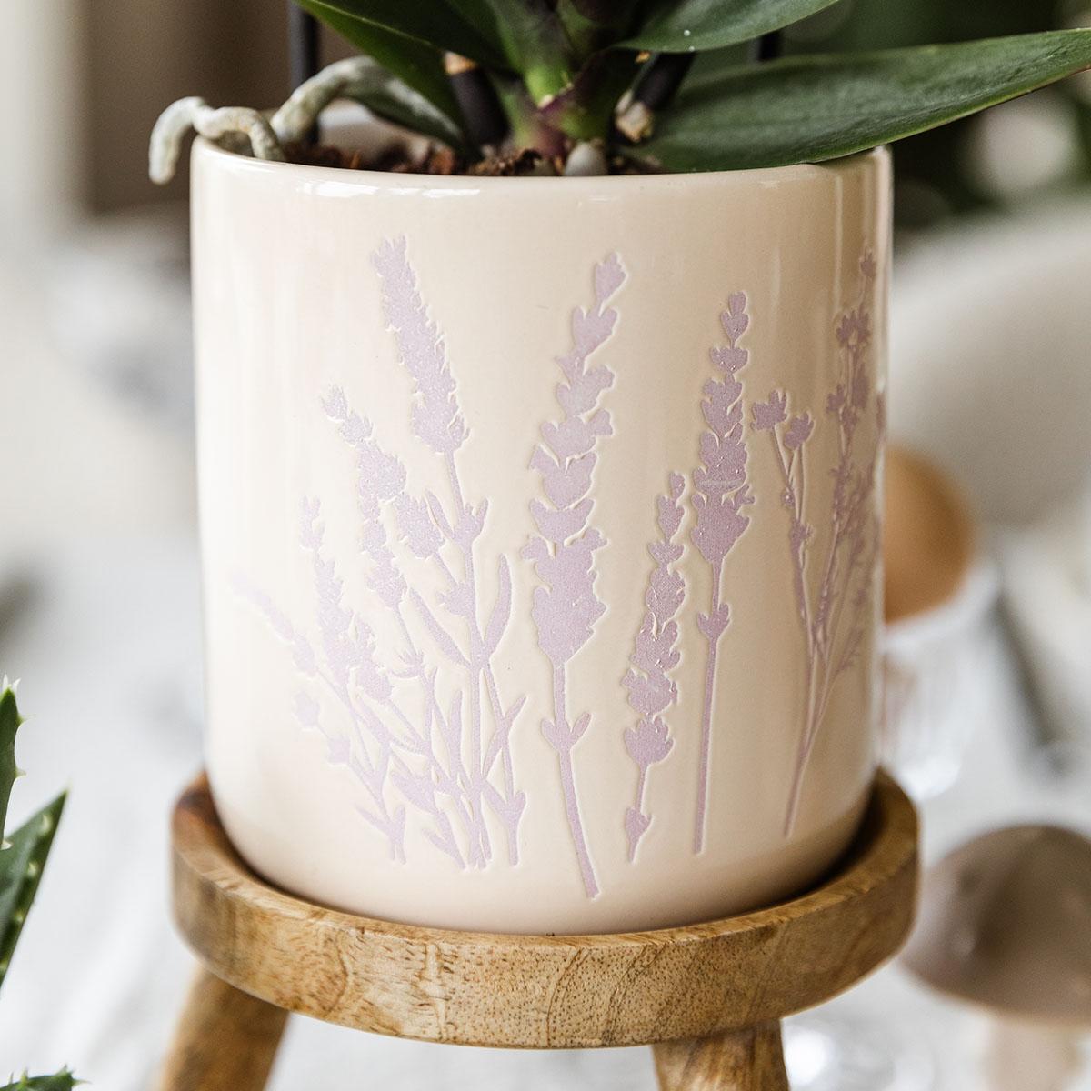 Kolibri Orchids | Roze orchidee Andorra + Floral sierpot lavendel - potmaat Ø9cm | bloeiende kamerplant - vers van de kweker