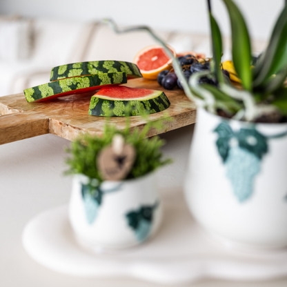Kolibri Company - Set van witte orchidee en Succulent in Grape sierpot blauw op wit dienblad - vers van de kweker